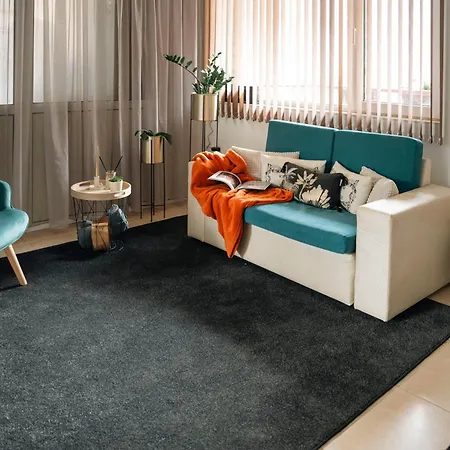 стилен и уютен в центъра Apartman